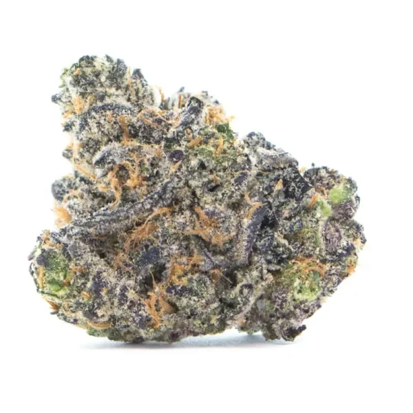 Apple Fritter